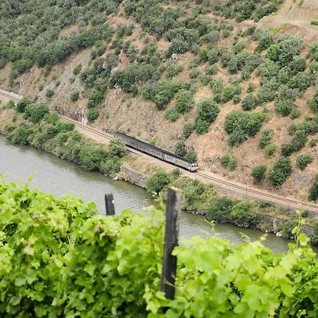 Rural Quinta Do Pego מלון טבואקו
