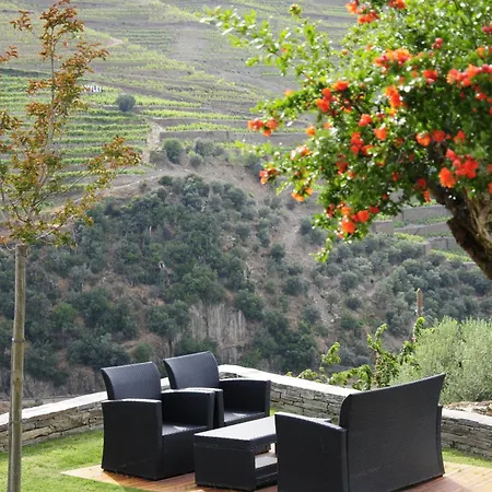 Rural Quinta Do Pego Tabuaço