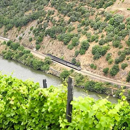 מלון Rural Quinta Do Pego טבואקו