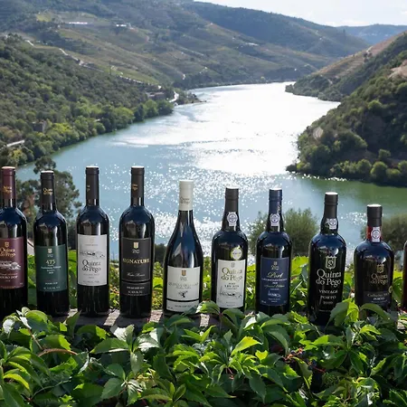 Rural Quinta Do Pego 4* טבואקו