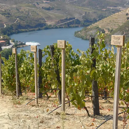 Rural Quinta Do Pego
