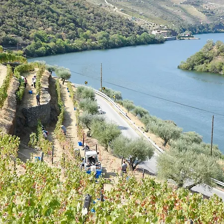 Rural Quinta Do Pego מלון טבואקו
