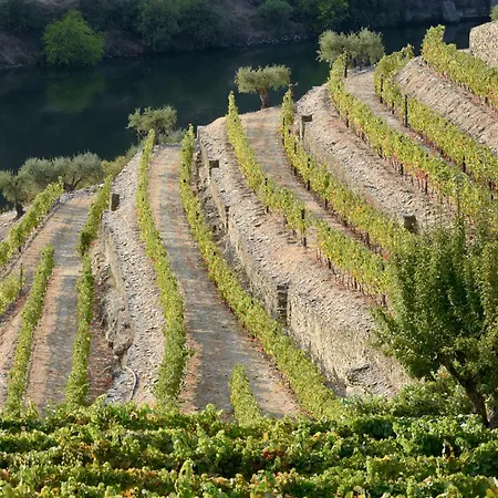 Rural Quinta Do Pego מלון