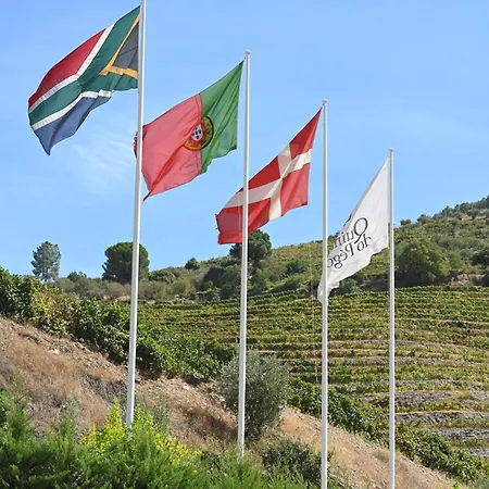 Rural Quinta Do Pego טבואקו