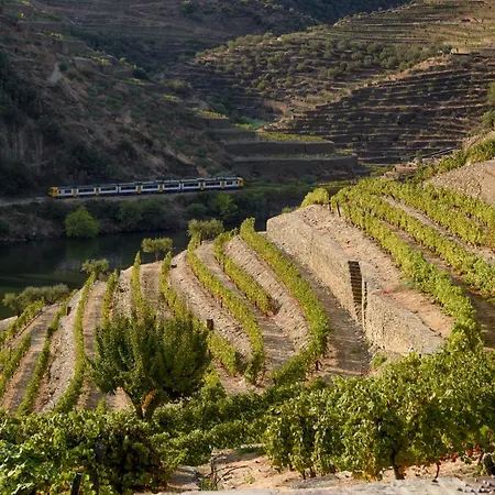 Rural Quinta Do Pego