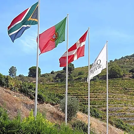 Hotel Rural Quinta Do Pego Tabuaco