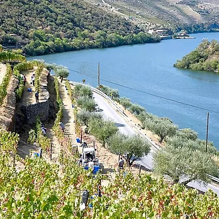 Rural Quinta Do Pego 4* Tabuaco
