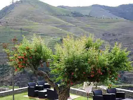 Rural Quinta Do Pego Otel